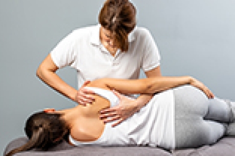 Should You Visit Your Doctor Before going to a Chiropractor?