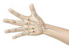 Fractures of the Hand and Fingers